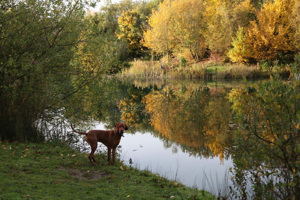 Greenbanks Hotel Norfolk Great Fransham Zewnętrze zdjęcie